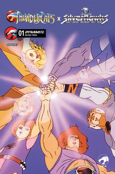 Thundercats X Silverhawks #1 Cover E Animation Art Variant