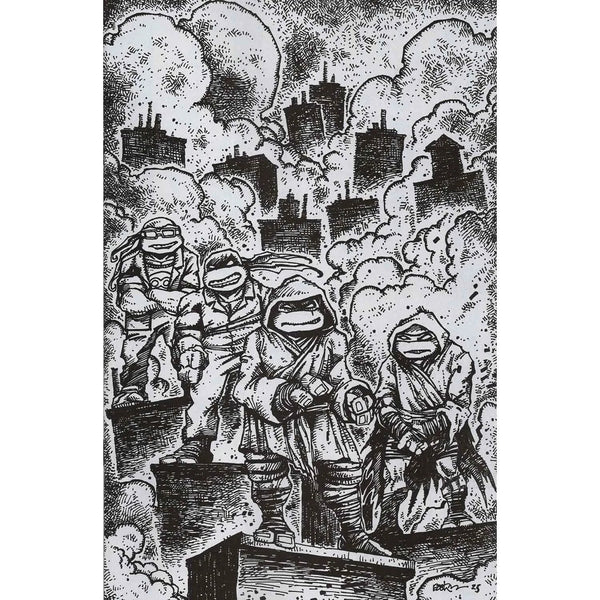 Teenage Mutant Ninja Turtles #10 Variant