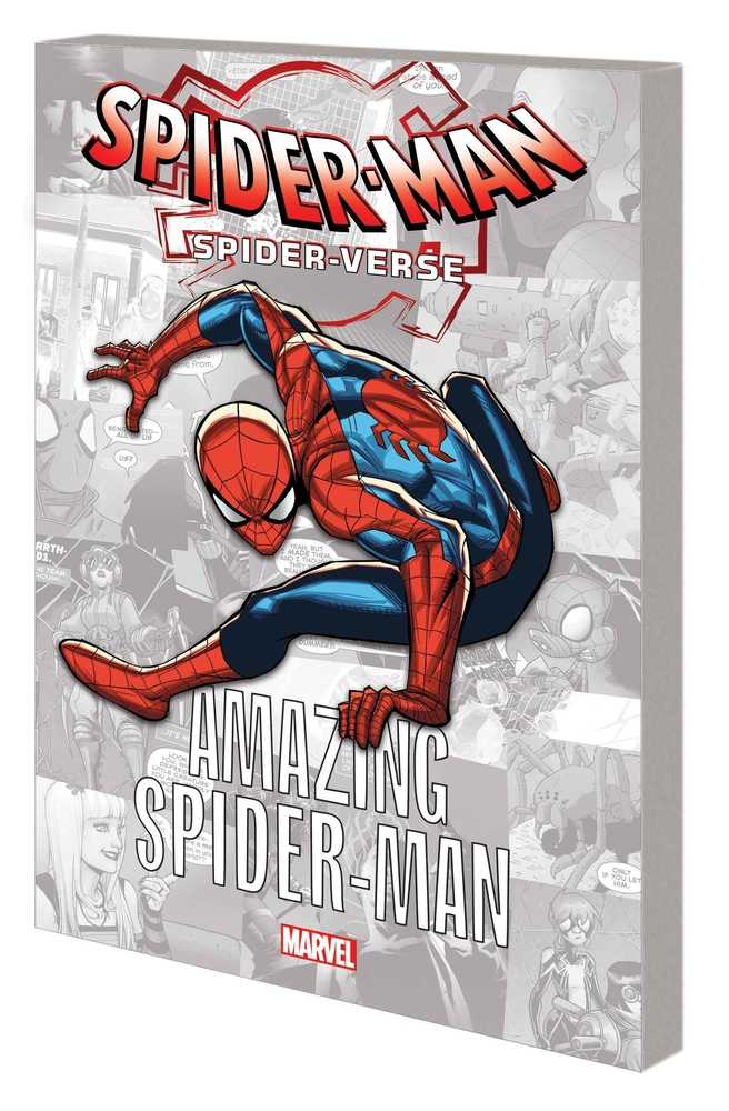 Spider Verse Graphic Novel TPB Amazing Spider-Man