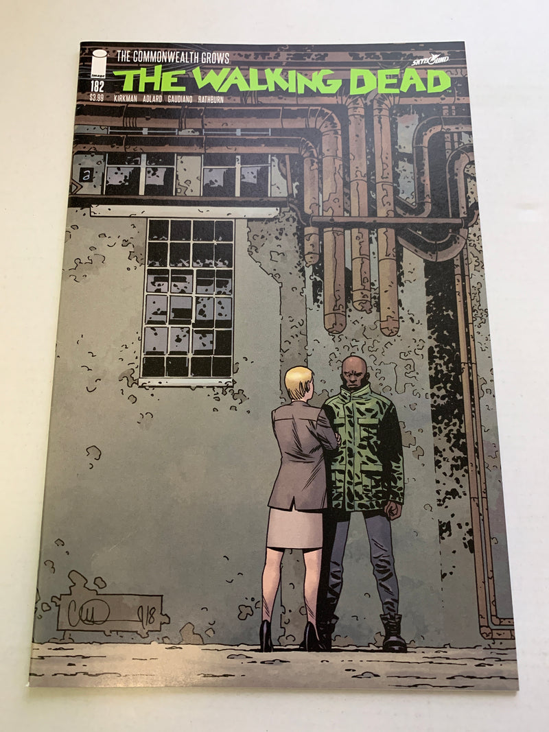Walking Dead #182 Cover A Adlard & Stewart (Mature)