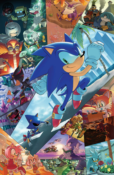 Sonic the Hedgehog #91 Variant RI (25) (Hammerstrom Full Art)