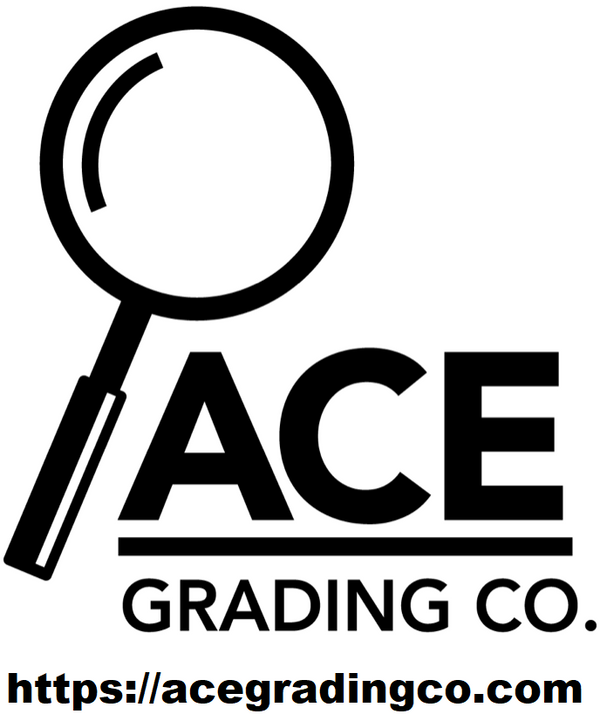Add-On Comic Book Grading Service – Powered by ACE Grading Pre-Ship New Comics Only